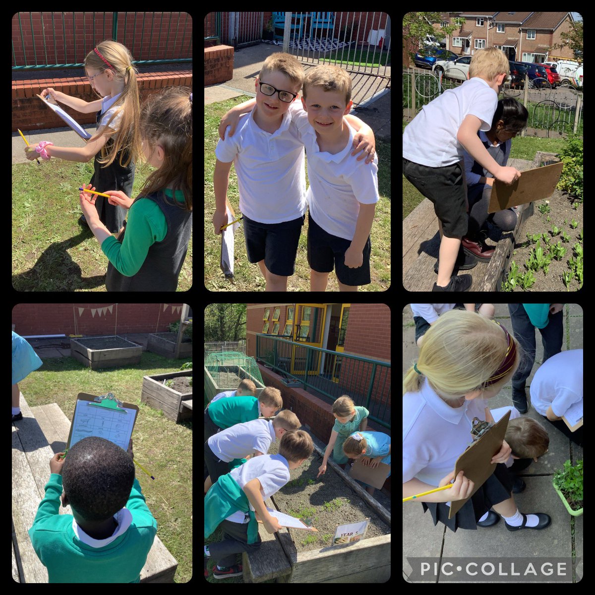 Year 2 Thornhill tweet media