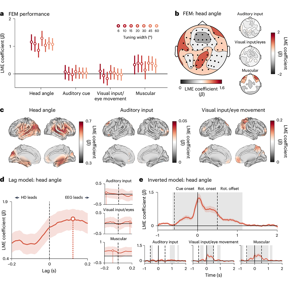 How do we orient ourselves in space? A study in @NatureHumBehav identifies a complex network of brain regions that track head direction in free-moving human participants. 🔒 go.nature.com/4b7dlPo