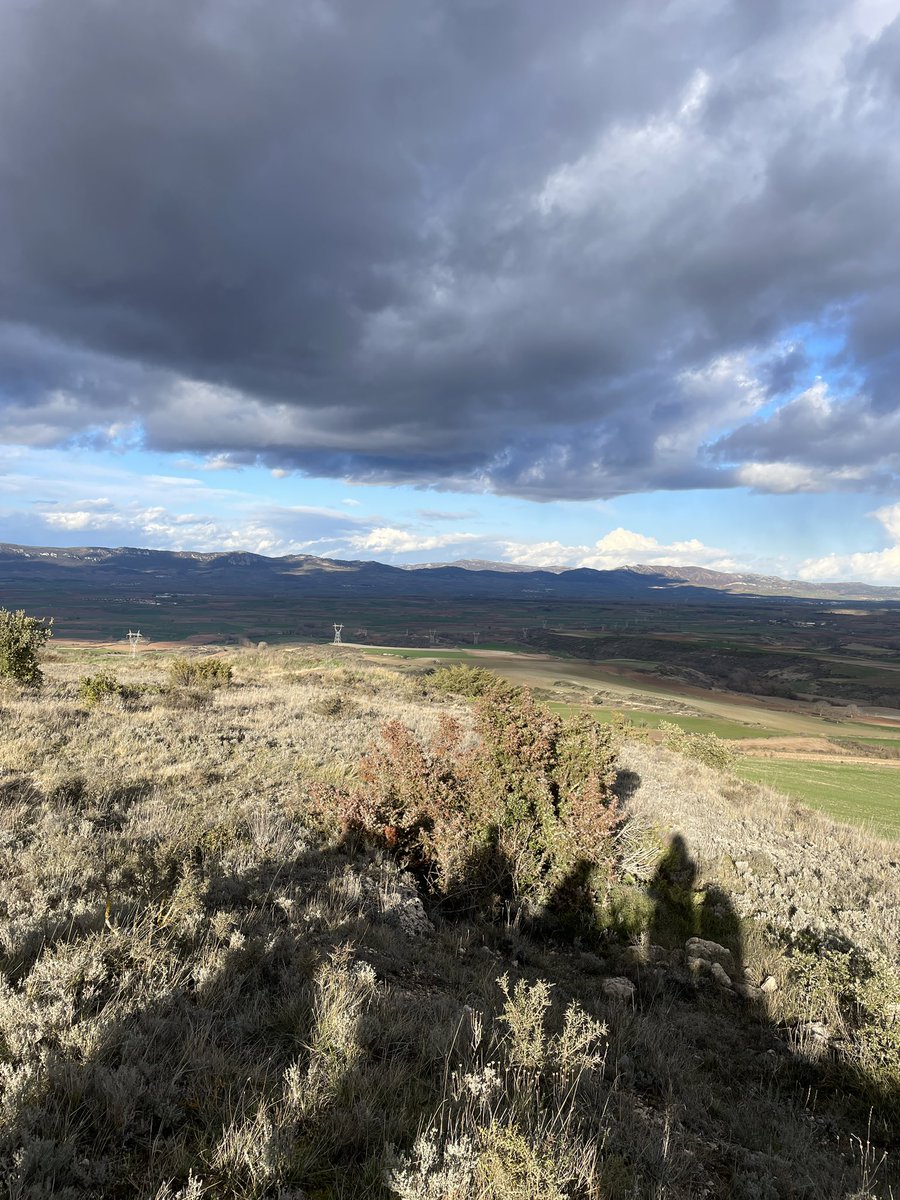 Veryllia's tweet image. ‘Tant se val, que, avui, tot el que passi és #normal.
Perquè amb aquesta llum, que transparenta els ulls
Que et fa somriure el nas, que enlaira el perfum
Podríem estar sols o simplement perduts’

#blaumut #sentit 

Dels blaus que em fan emmudir.