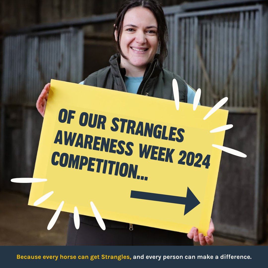 StranglesWeek's tweet image. 🎉🌟 OVER 700 ENTRIES FOR OUR COMPETITION BUT THE WINNER IS...🌟🎉

Congratulations, Elaine Macdonald! 🎉👏 Please redeem your fantastic prize bundle by contacting campaigns@redwings.co.uk 🎁✨

Thank you to everyone who participated!

#SAW2024 #StranglesAwarenessWeek