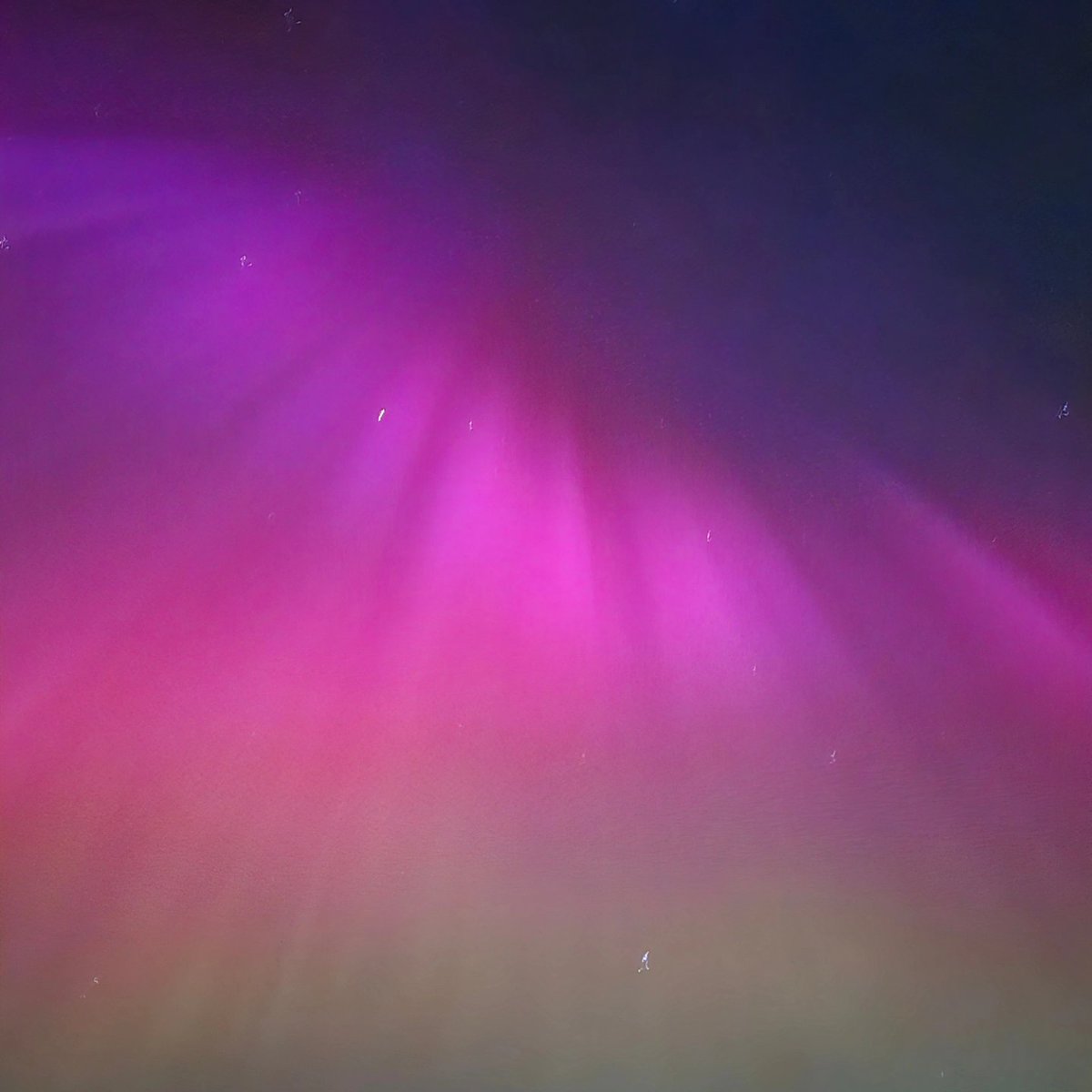 FoxieYorkie's tweet photo. Friday night we bombed out of Edinburgh and headed down the A1 to see the #NorthernLights #AvidAdventurer https://t.co/kMikIYxUwe