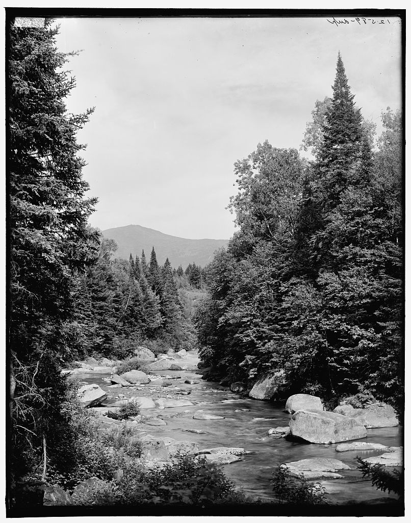 Mt. Washington from the Ammonoosuc, White Mountains Detroit Publishing Co., publisher [between 1890 and 1901] #Vintage #Photography loc.gov/item/201679951…