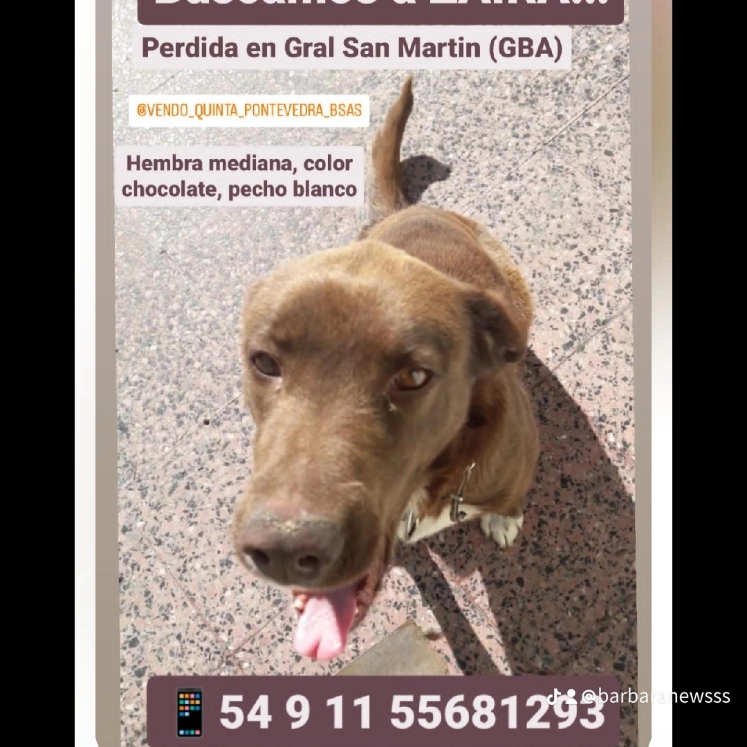 NewsssBarbara's tweet photo. @Lobo_maltes @BarbaraNewsss @PusinoOsvaldo @PILN4 @Lassie82640452 @Xsorete2 @pdvm2014 @Cardorualbert20 @Nancy_nancy42 @laventanadjulia @danythomas15 @DanielRusso78 @martaguerriot1 @inesita64_ @ElsaKekita @BarbieNiemann @nanaHarta @morenosegui @Ag_Monteverde @Observador19861 @alejandro_gesto @filosogogriego @Yudith2_0 @Rivadavia630 @telefenoticias @telefe @Telefeprensa @nachoviale @ViaJuani @mirthalegrand @escuderosilvina @pachuriendose @aguerosergiokun @PMunozIturrieta @NYGBertie @OPRArgentina @JMilei @Merlo_Real @Artear @canal9oficial @radiomitre @BalliMarixa @sandramihanovif @LizyTaglianiOk https://t.co/aX6TwgbrHL