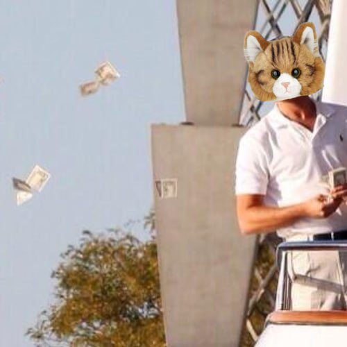 We hit ath after ath, look back at my tweets $Manny is a programmed multi million token