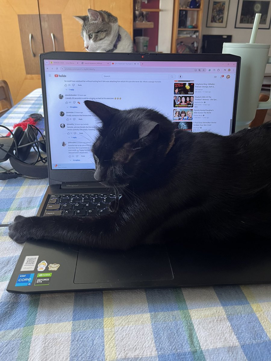 Myrandomself1's tweet photo. Loki sabe que el trabajo me está estresando https://t.co/5QzWrcmZww