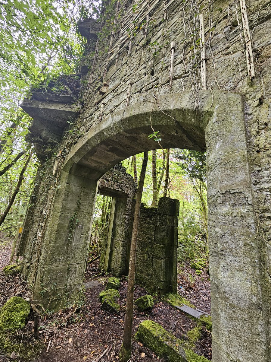 FoxieYorkie's tweet photo. Buchanan Castle #AvidAdventurer https://t.co/303XLioGw7