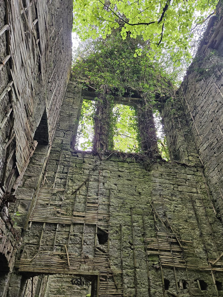 FoxieYorkie's tweet photo. Buchanan Castle #AvidAdventurer https://t.co/303XLioGw7