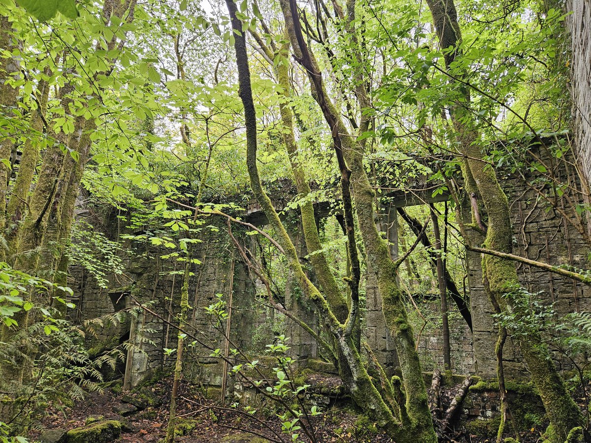 FoxieYorkie's tweet photo. Buchanan Castle #AvidAdventurer https://t.co/303XLioGw7