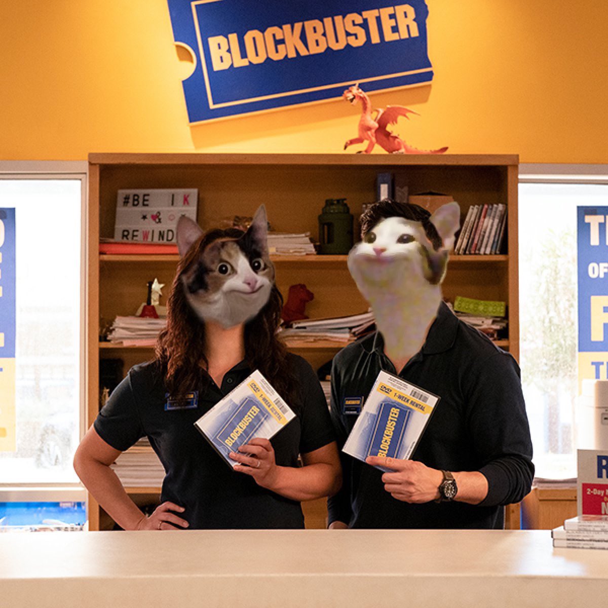 EleanorOnSol's tweet photo. @MediaGiraffes We are ready ! https://t.co/zjVcYjQQdc