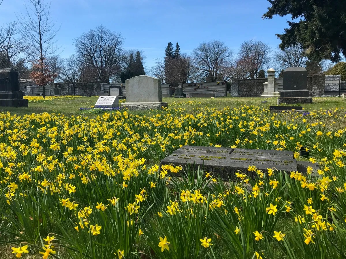 Cemetery Planner Lacee Barr’s work is guided by the principle that cemeteries are spaces of the dead for the living. tinyurl.com/muvh2vwn #cemeteryplanning #cemeteries #landscapearchitecture #deathcare