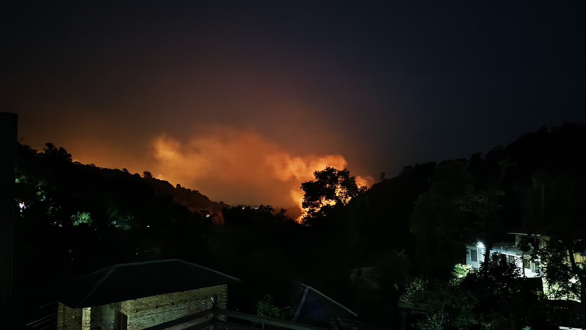 Palampur: Forest ablaze above my village. Pine trees are fueling the fires. It's time for the government to step up and prioritize replacing them with local vegetation to protect the ecosystem.