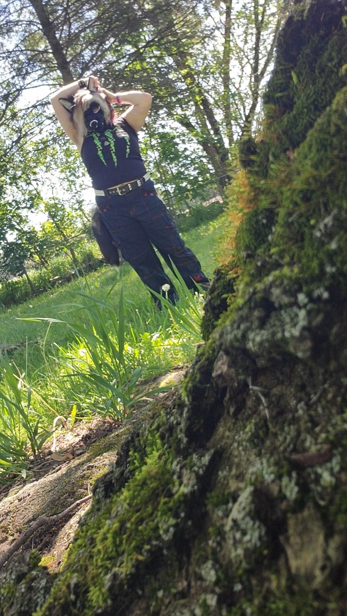 _furbeast's tweet photo. I'm Fox! 
I'm 18 years old, ( he/him ) and a big silver fox / coyote creature. 
I first discovered therianthropy when I was 10 years old, but haven't been active in the community until recently.

I would love to meet some more nonhumans my age or older.

#therian #otherkin https://t.co/NVGizSW4nm