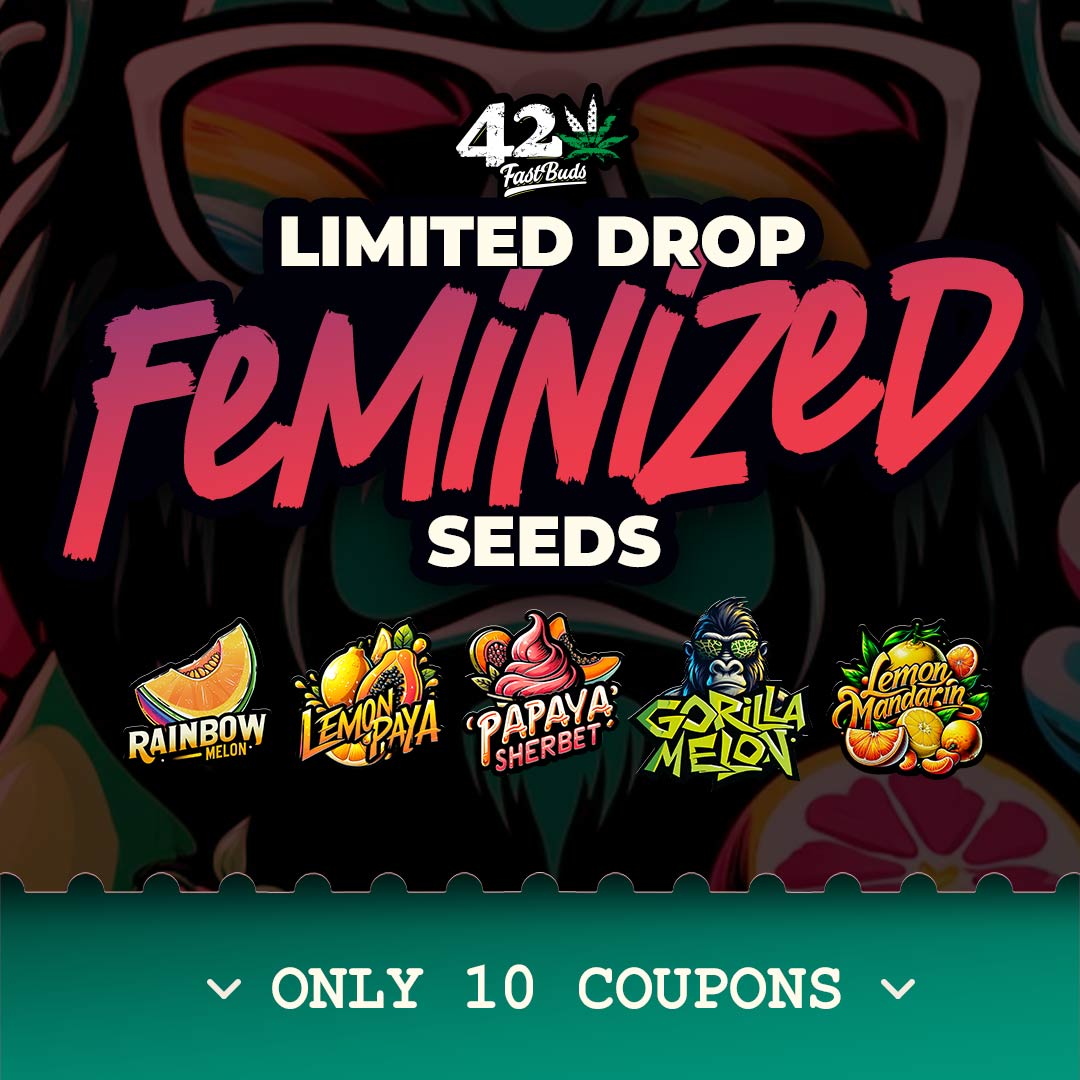 ☄ACT FAST! 10 COUPONS ONLY!☄
As you know, we recently dropped 5 extremely limited edition feminized photoperiods for our most loyal customers.
However, we decided to create 10 one-time-use coupons to give some lucky folks a chance to get their hands on them, regardless of