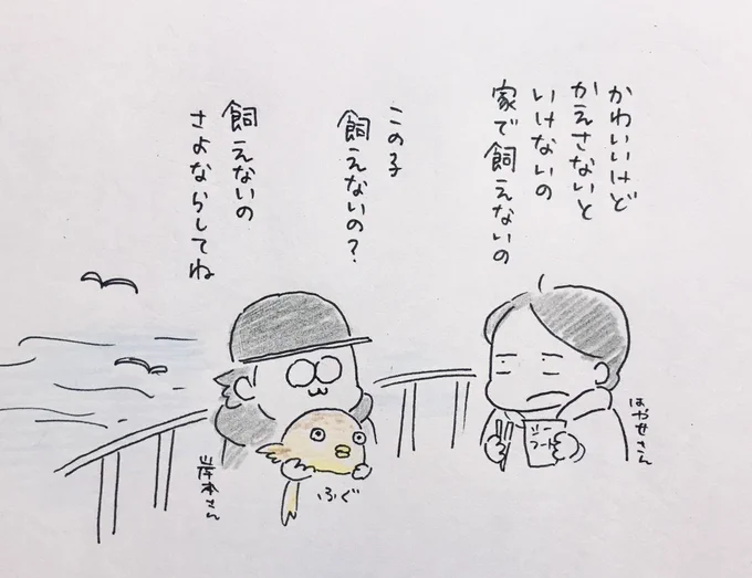 テラーサマナーズのお二人と釣りに行った時の都市ボーイズとかわいいフグ🐟のイラストです

#都市ボーイズ 