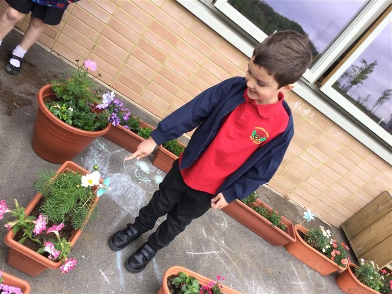 Ash and Birch class have been "garden explorers" today, caring for our garden and looking carefully at the plants and flowers to see what has changed.