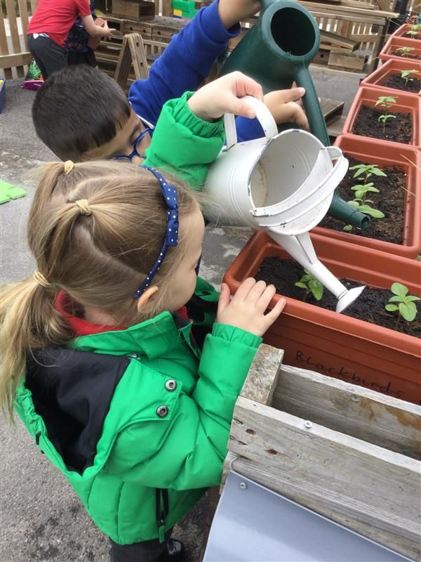 Holyoakes Field tweet media