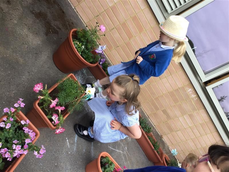 Holyoakes Field tweet media