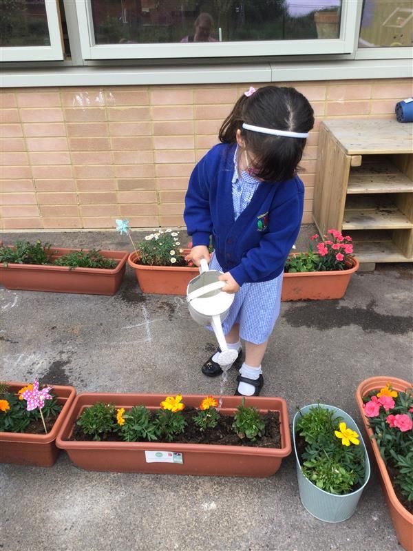 Holyoakes Field tweet media