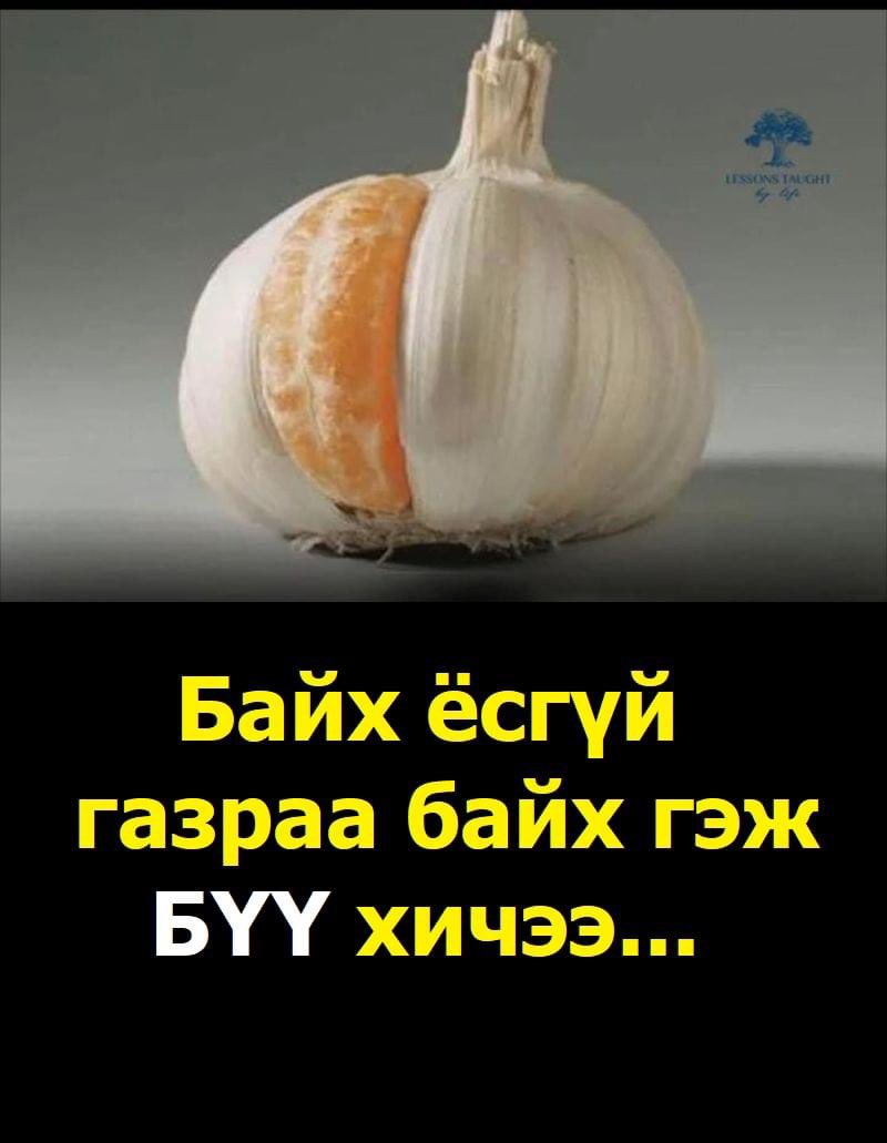 Batbayar (@batbayar_0) on Twitter photo 