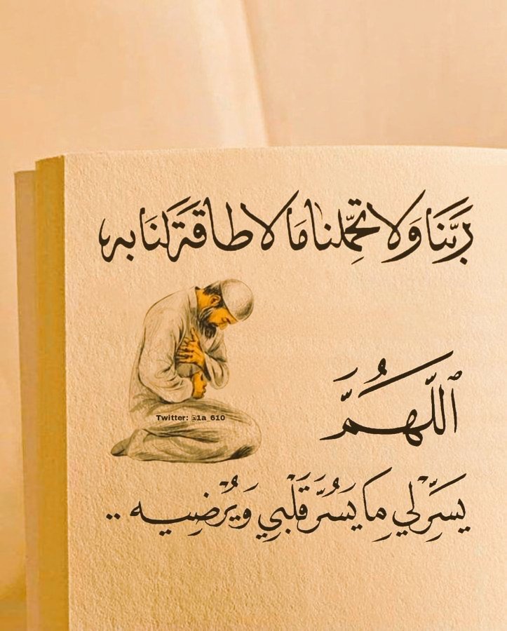 المجد tweet media