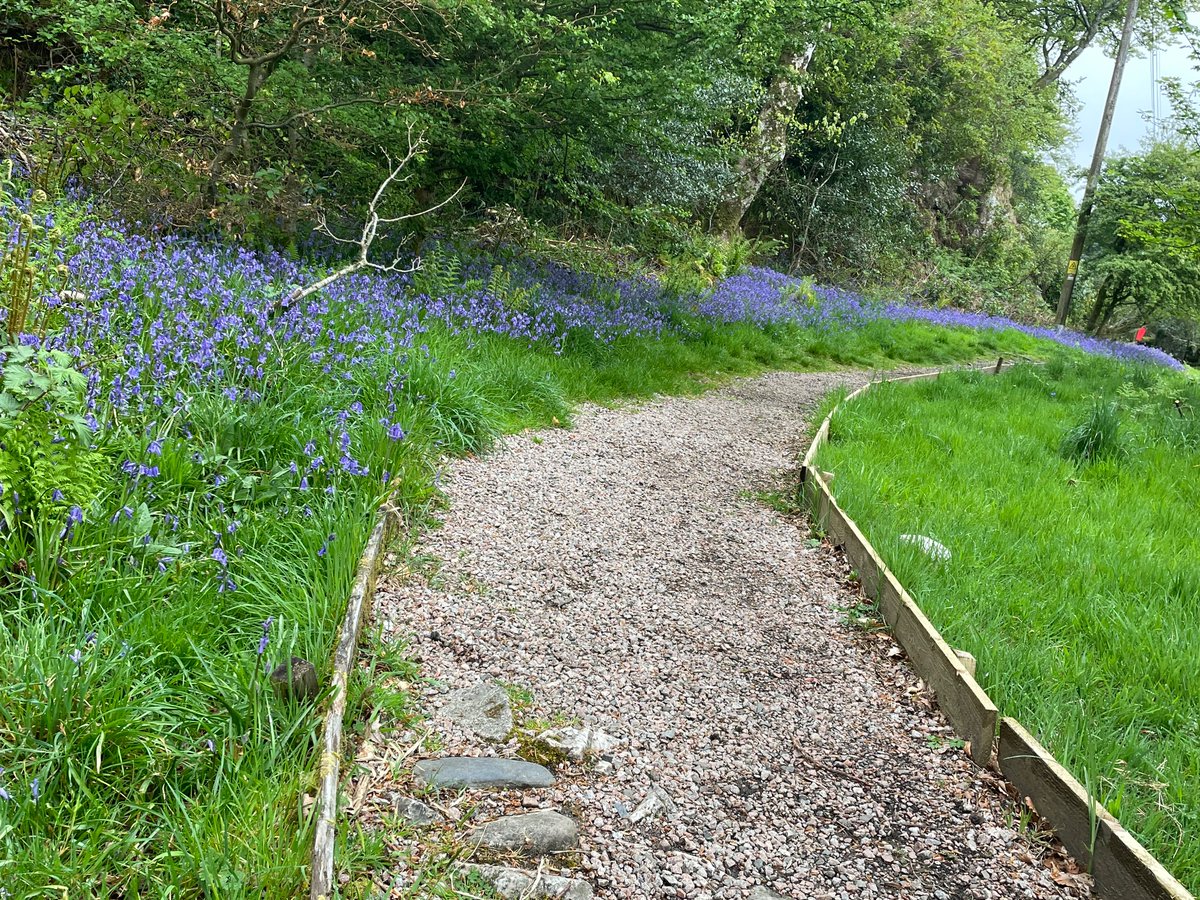 Frances Cunning tweet media