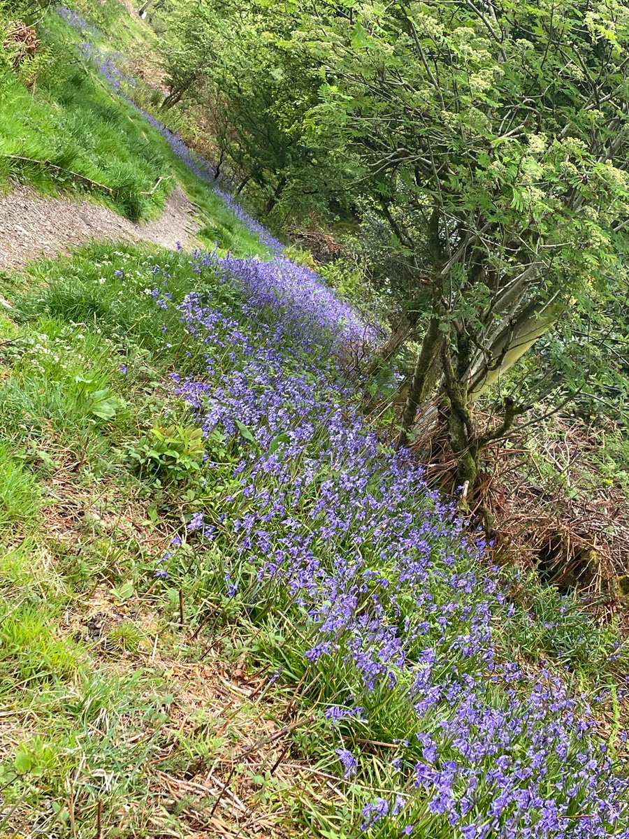 Frances Cunning tweet media