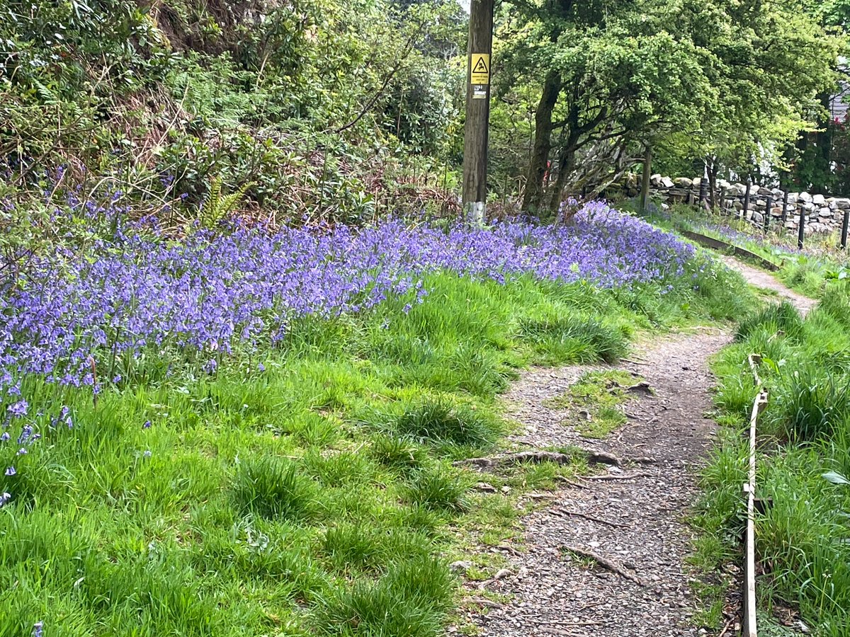 Frances Cunning tweet media