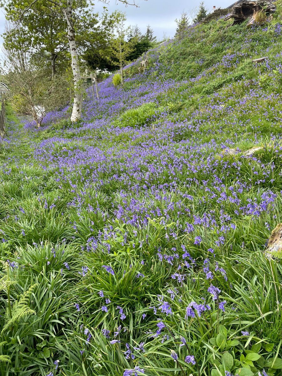 Frances Cunning tweet media