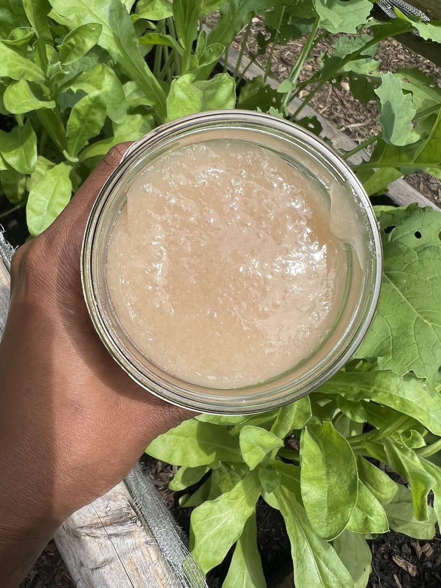 lishejuice.com/products/sea-m…