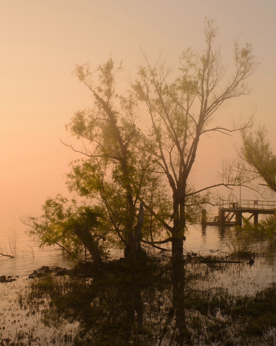 virginiahanusik's tweet photo. studies on water and light along the lower mississippi river https://t.co/zx0tal6tPz