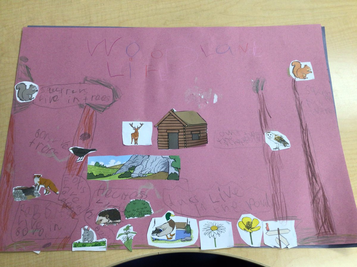 OVPS Miss Marchant/Mallinson tweet media