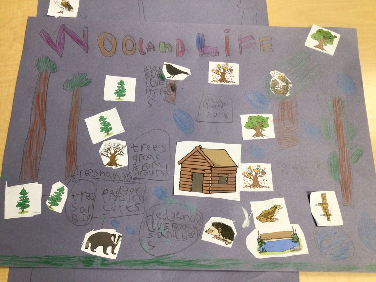 OVPS Miss Marchant/Mallinson tweet media