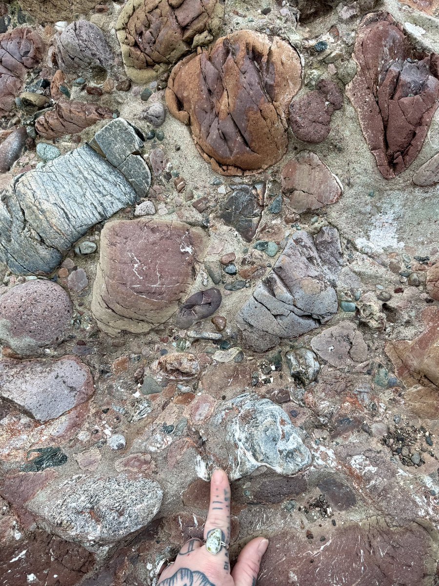 While everyone else was relaxing and taking in Dunnottar Castle’s romantic beauty and historic charm.. my pals were made to endure a 2 hour Katie lecture on the depositional controls and sediment sources of these majestic Lower Old Red Sandstone (Silurian-Devonian) conglomerates