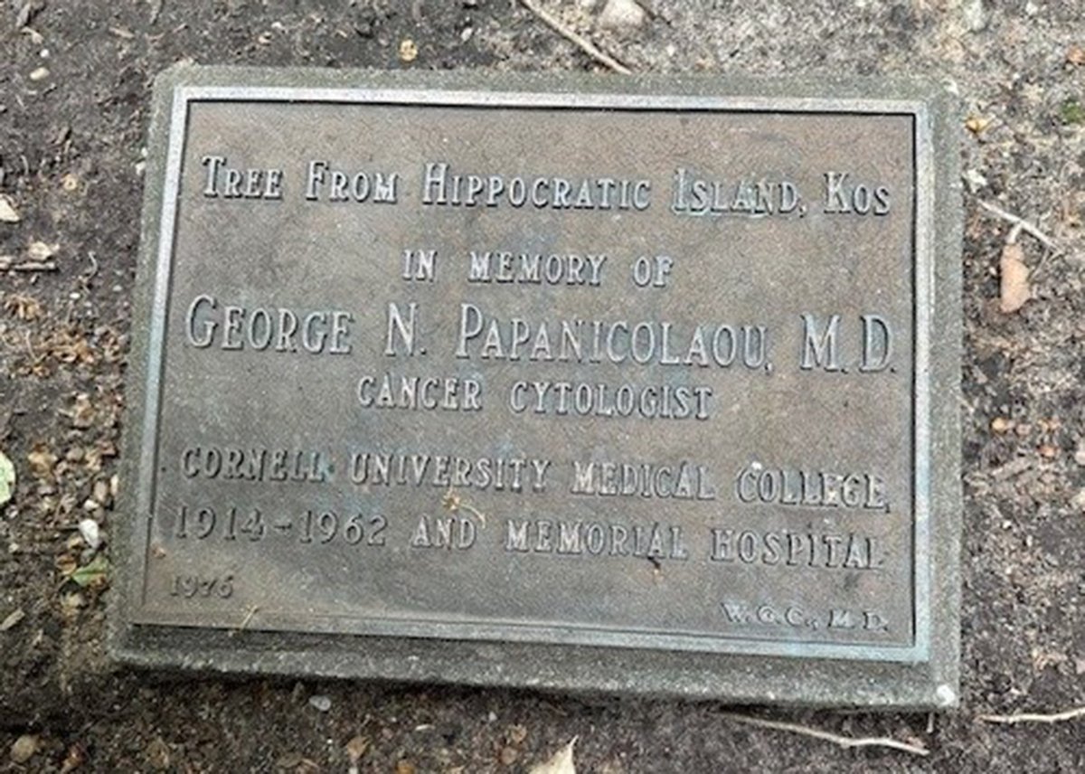 Celebrating National Cytology Day on the birthday of Dr. George Papanicolaou who revolutionized the early detection of cervical cancer. The Papanicolaou Cytology Laboratory @WCMCPathology @nyphospital celebrating today in front of the tree planted in his honor.