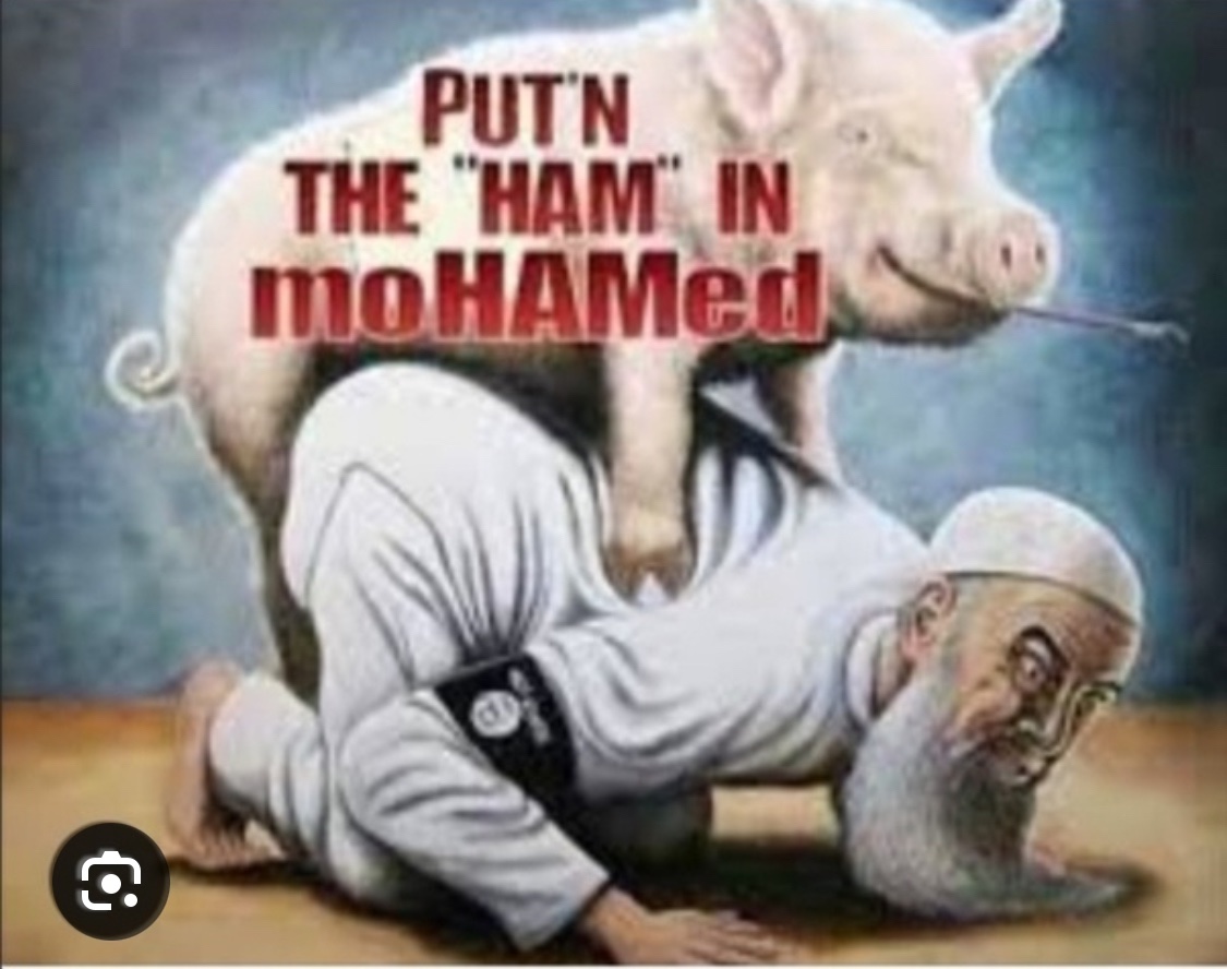 lev pike tweet media