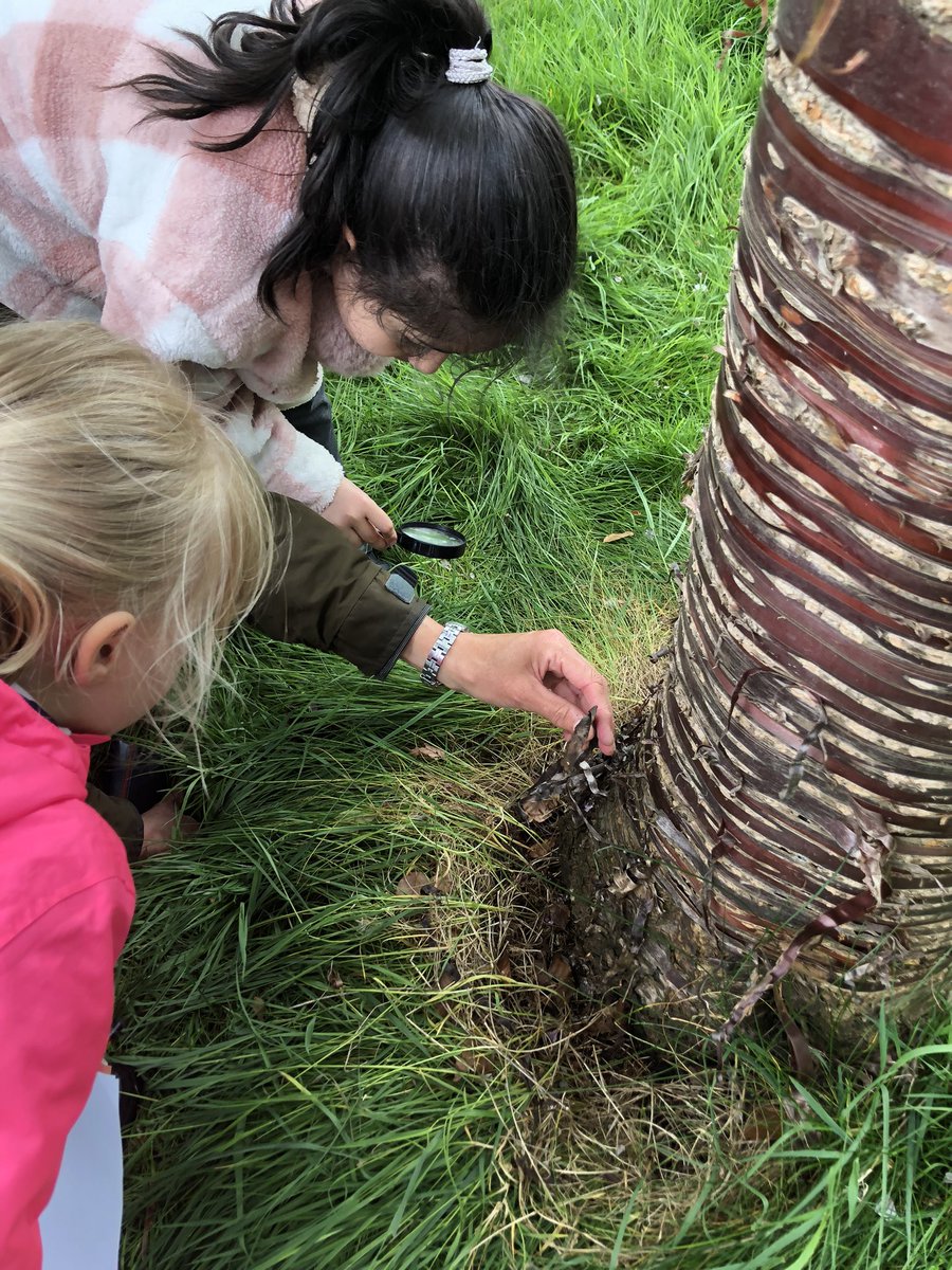StCuthbertsRCP's tweet photo. P3 had a wonderful nature walk with the Green Team on Thursday! In Saughton Park we searched for different plants and mini beasts… we found a leopard slug under a cherry tree! #article28
 #GreenTeamEdin https://t.co/LaVNAWUl2R