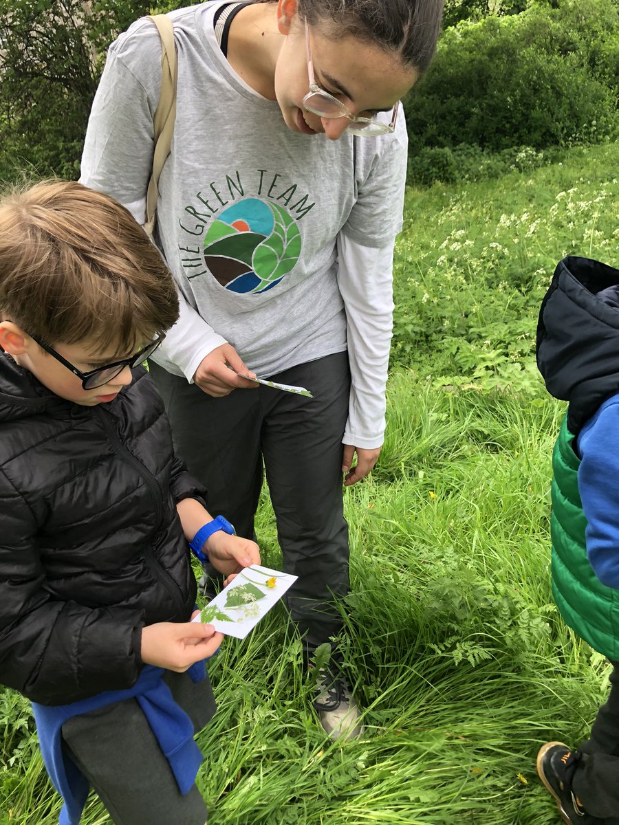 StCuthbertsRCP's tweet photo. P3 had a wonderful nature walk with the Green Team on Thursday! In Saughton Park we searched for different plants and mini beasts… we found a leopard slug under a cherry tree! #article28
 #GreenTeamEdin https://t.co/LaVNAWUl2R