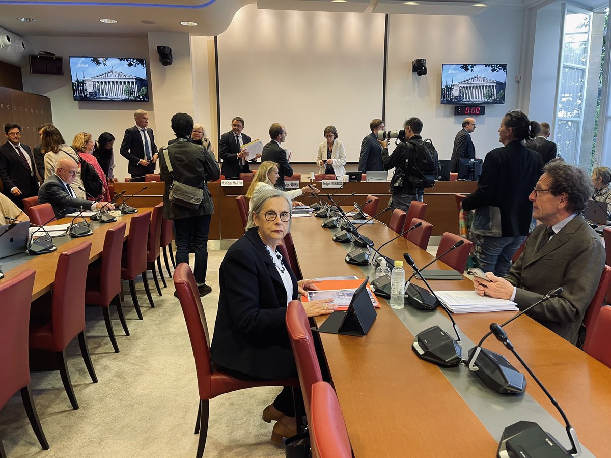 Annie Vidal tweet media