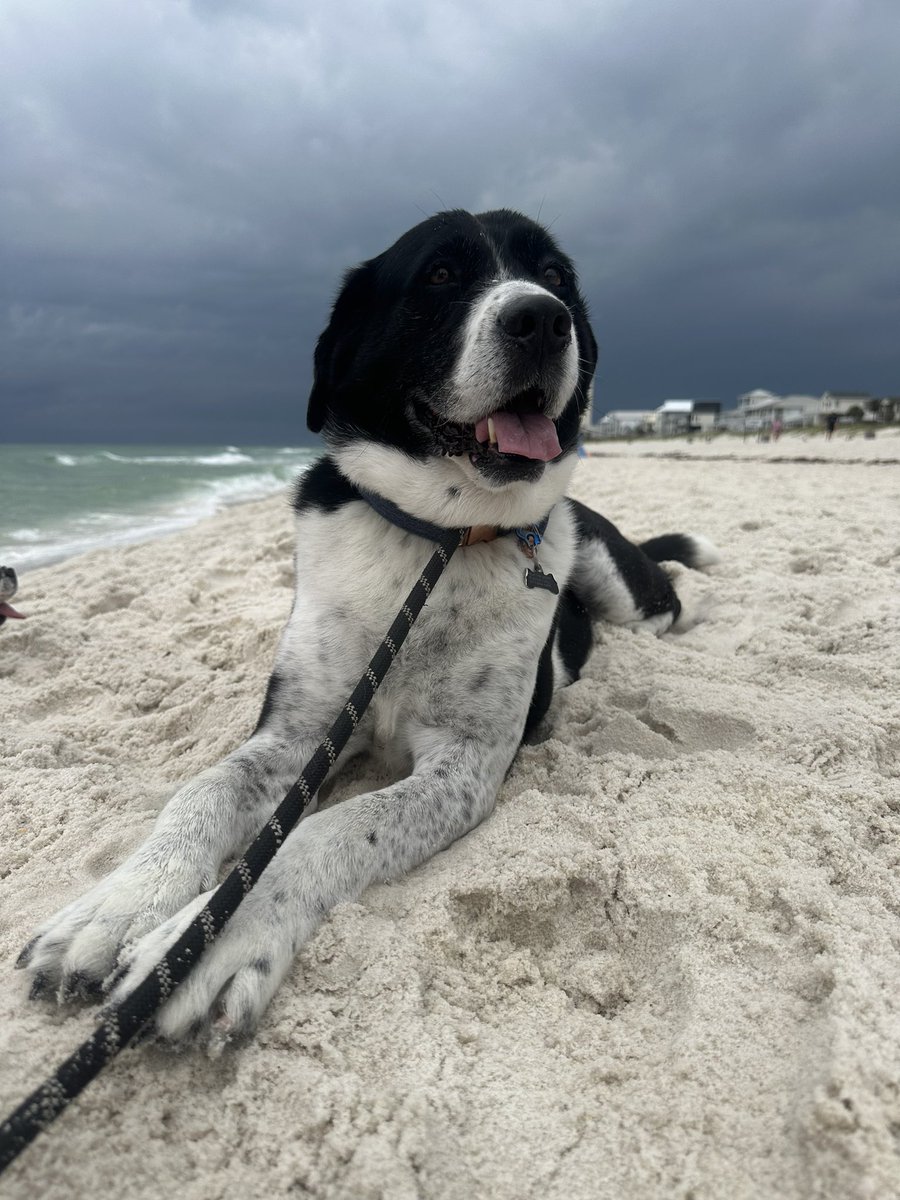 Alexandra Cooper, DO, MS tweet media