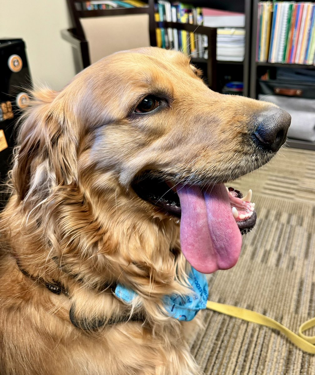 Schilling28's tweet photo. Yellow says, "My mom brought me to work a little early. Come see me in ACEN 333!" ๐
#YellowJoy #ReadingDay2024 @HenneyEducDept @ManchesterUniv https://t.co/1uNQThndXj