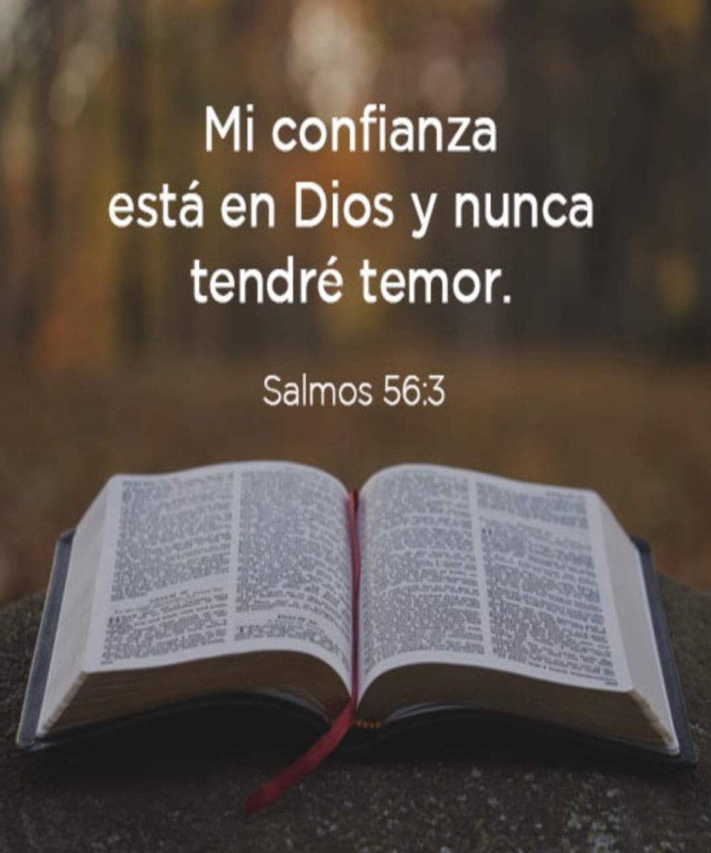 _LizRangel_'s tweet photo. @DannielaPr Eres una guerrera de Dios mi Dany 🙌🏻 https://t.co/kd9fAUkRL3