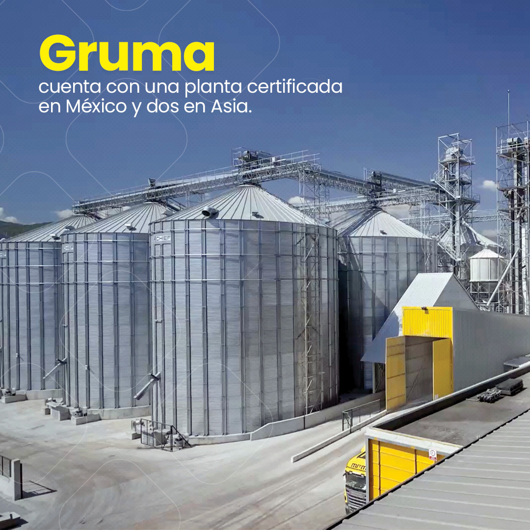 GrumaGlobal's tweet photo. En Gruma, estamos comprometidos con nuestro personal.
Por ello, contamos con el respaldo de la Norma ISO 45000, que garantiza un entorno seguro para nuestros trabajadores.
#ISO45000 #CertificacionesGruma https://t.co/XViJ2l9ayg