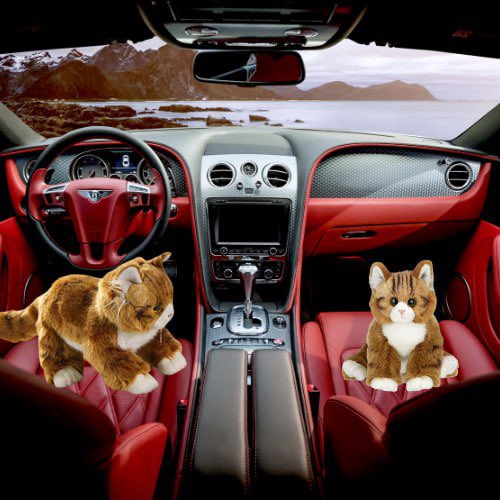 Sometimes I am a passenger and sometimes I drive. With $Manny you guys can be the passenger and I will steer it upwards 📈