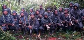 1) The FLN, the military wing of the MRCD, a political entity founded by the US-based Paul Rusesabagina, remains active in South-Kivu.

The Congolese government has been working with the FDLR, a militia group formed by remnants of the masterminds of the 1994 Genocide against the