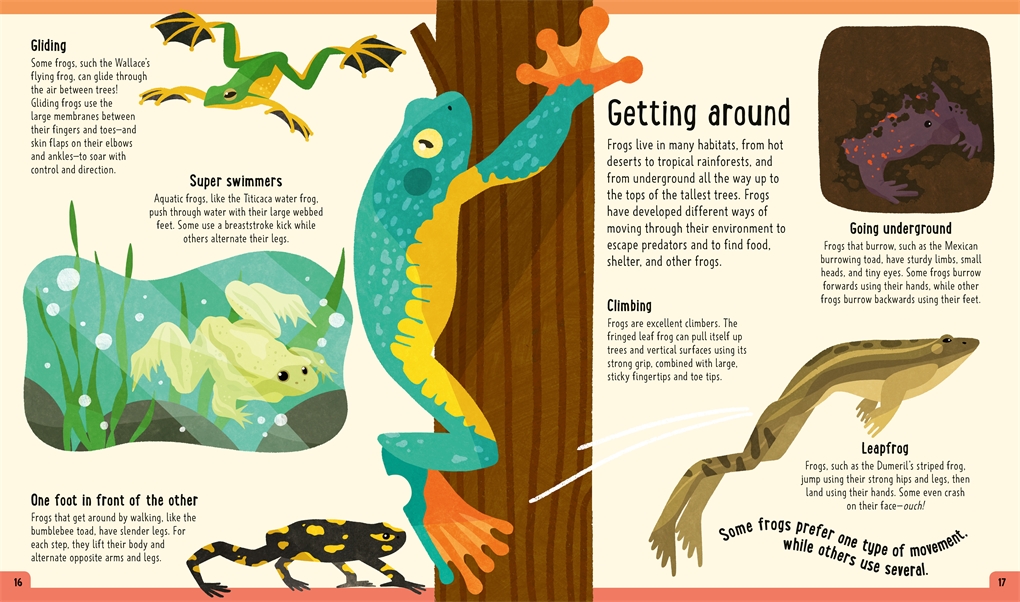 🐸 Jump like a frog or learn more about frogs on Frog Jumping Day with FROGS (A DAY IN THE LIFE) by @itzuecs & @henry__rancourt. Meet see-through frogs, tiny tadpoles, and rampaging toads in this kids' nonfiction book! bit.ly/3LL4ZTa
