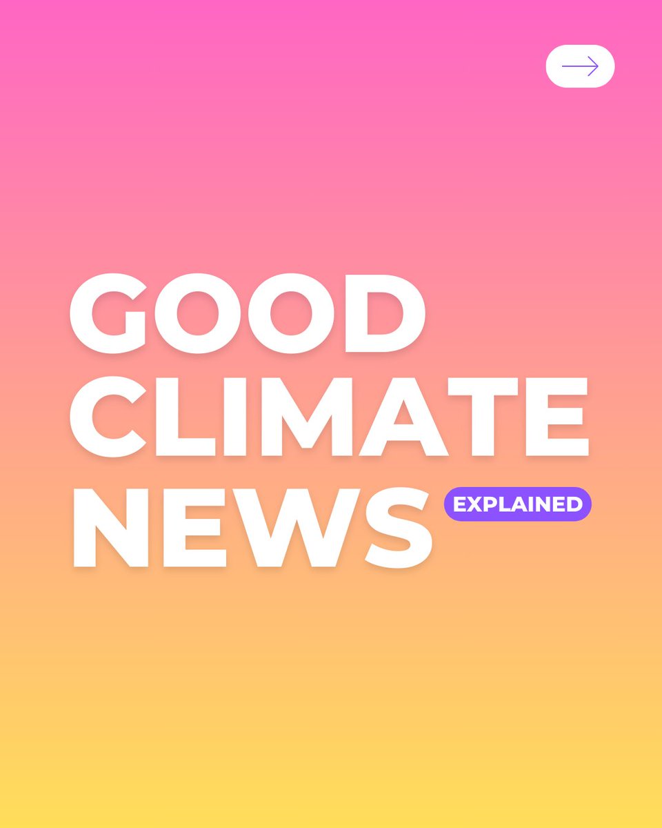 Here's this week's dose of good climate news to brighten your day! 🌈

Let us know your favourite! 🙌

#goodclimatenews #positivenews #bluewhale #recovery #southernocean #losangeles #WallisAnnenbergWildlifeCrossing #selfdestructing #plastic #compost #portugal #renewables