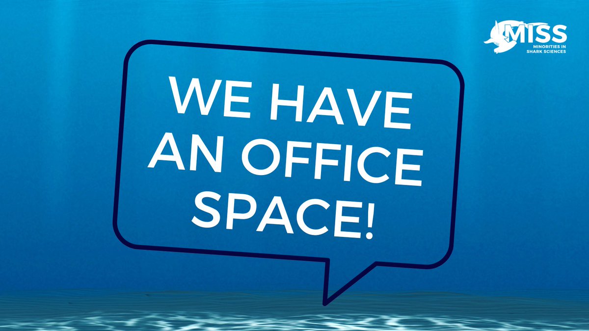 WE HAVE AN HQ! 😭 We have a home base to call our very own and we are so excited! If you’d like to contribute to our office homecoming, we have a registry! amazon.com/registries/gl/… We could not have done this without you! Thank you ALL! 💙🦈