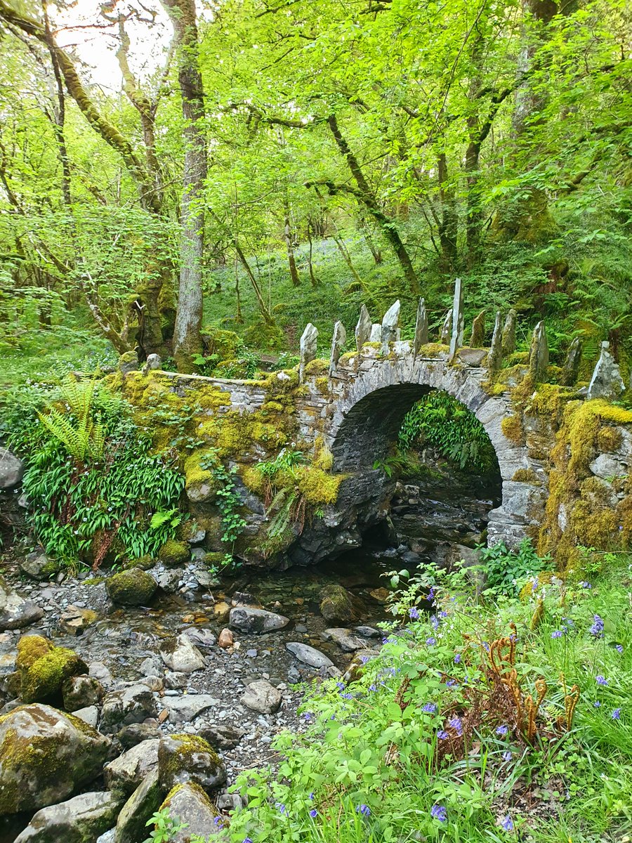 Beautiful nature, old fairy bridge.. amazing ! #bridge #nature #photography #travelbloggers #blogs x