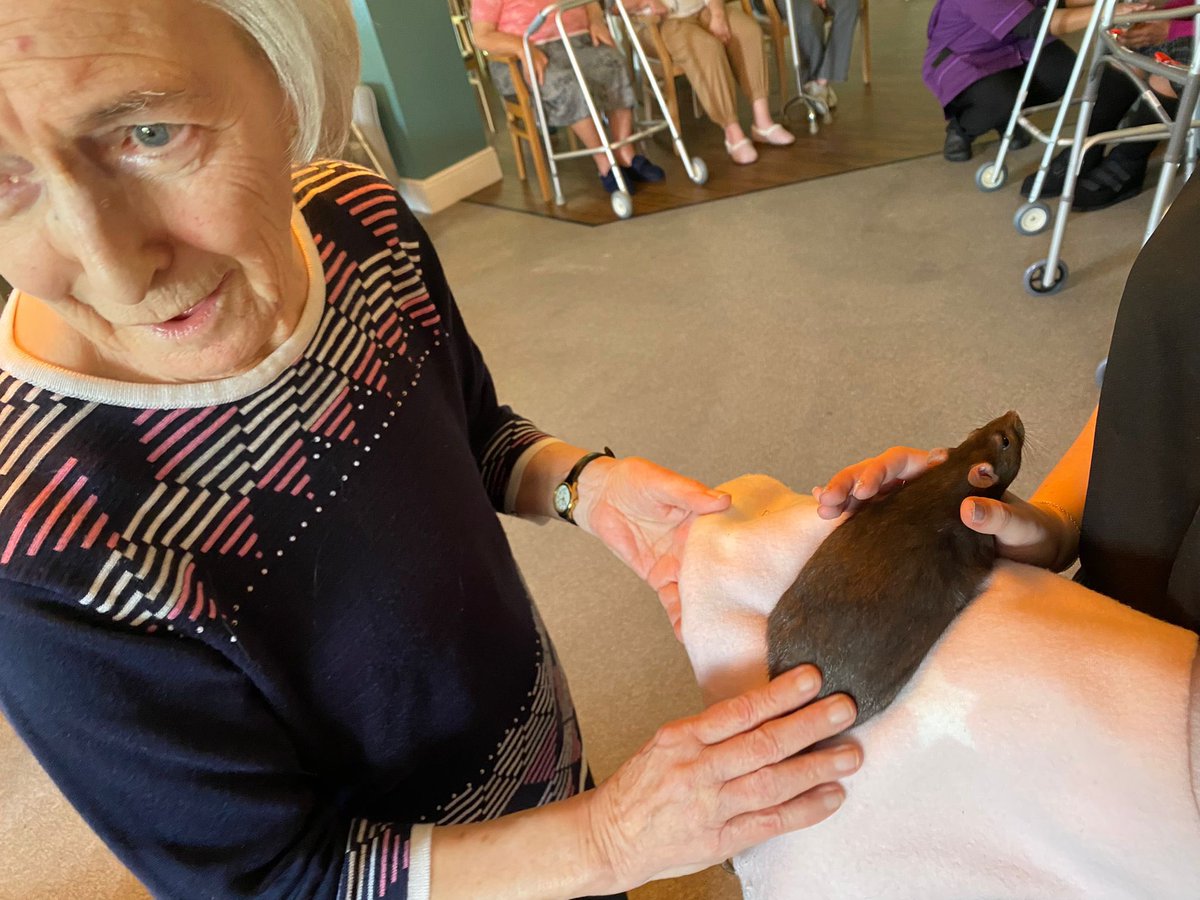 OakTreeLodge_AH's tweet photo. We had an amazing visit from @ZooLabUK and lots of residents and staff held all sorts of creatures
#carehomes #zoolab #dementia https://t.co/xE1rQgMqFH