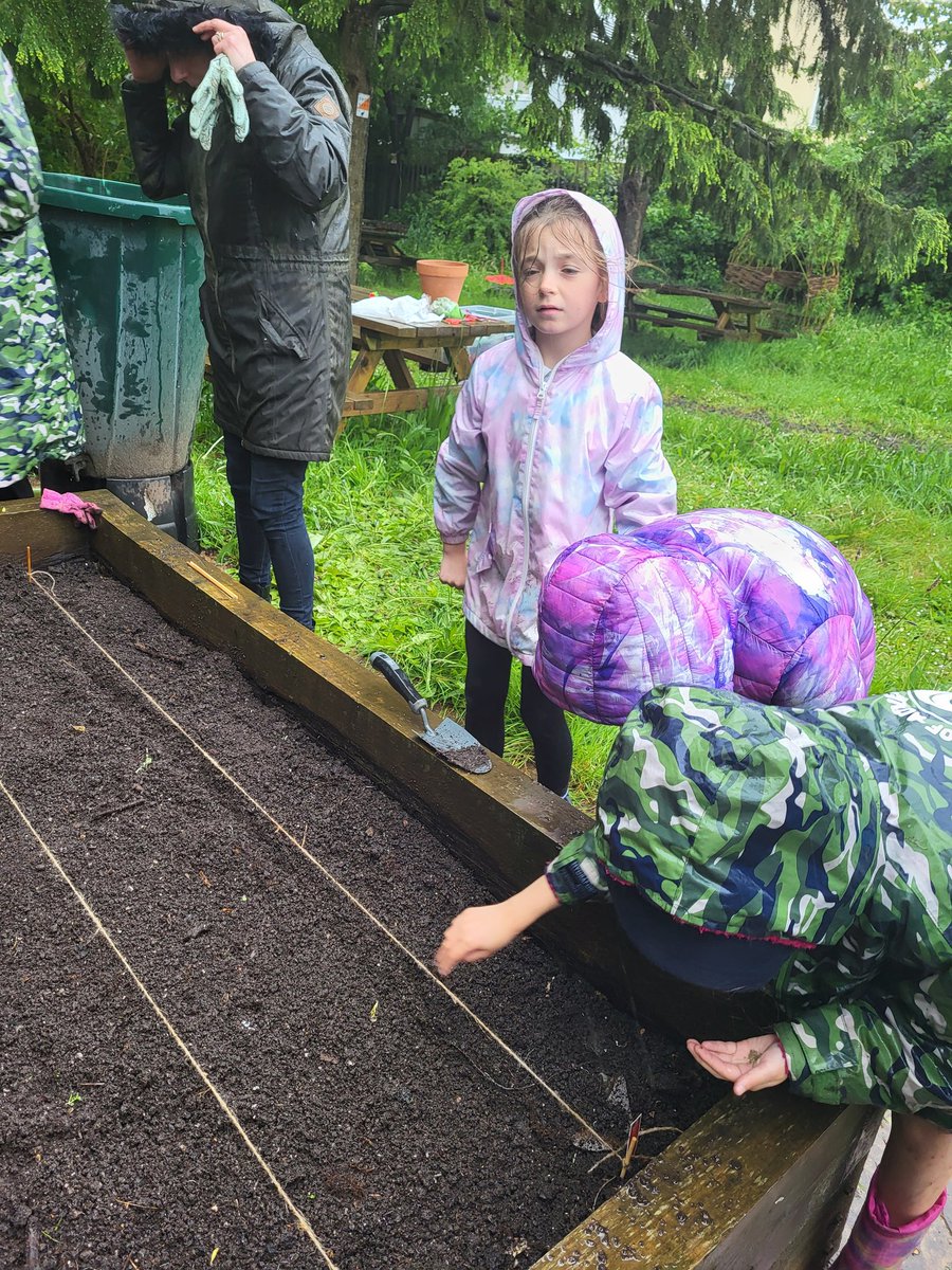The rain didn't deter Family Gardening Club today! After preparing the raised beds for planting, they began sowing vegetable seeds with seeds kindly donated by our lovely families 🧅 🥕 🥒. We look forward to watching them grow @_OLW_ @EcoSchoolsWales @FceGyg